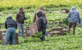 Les travailleurs saisonniers en manque de logement