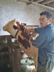 La vaccination obligatoire et gratuite s’organise collectivement