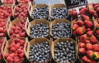 Fruits rouges : la France en queue de peloton européen