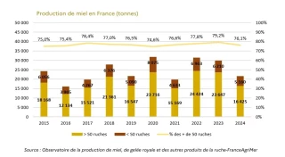 Chute de la production de miel en 2024