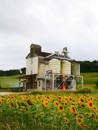 Coopération agricole : Un fonds d’investissement de 300 M€ lancés
