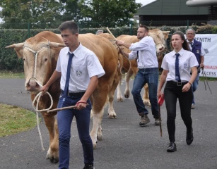 Sommet de l'élevage : une édition particulière sans bovins