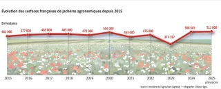 La surface française de jachères à un niveau élevé