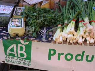 Baisse du nombre d’exploitations bio au 1er semestre  