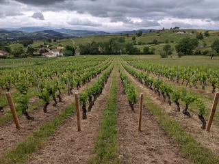 Une « hausse maîtrisée » des prix