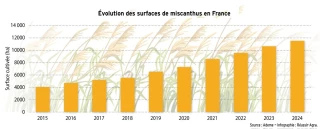 Lente progression du miscanthus en France
